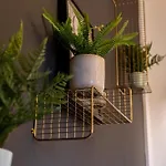 Modern Western - Blue Eging